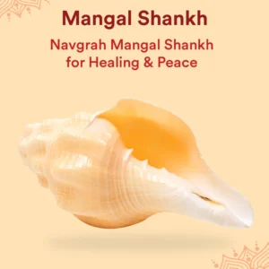 mangal-shankh-1-pc-navagraha-shankh-helps-invoke-planetary-blessings-attracts-courage-confidence