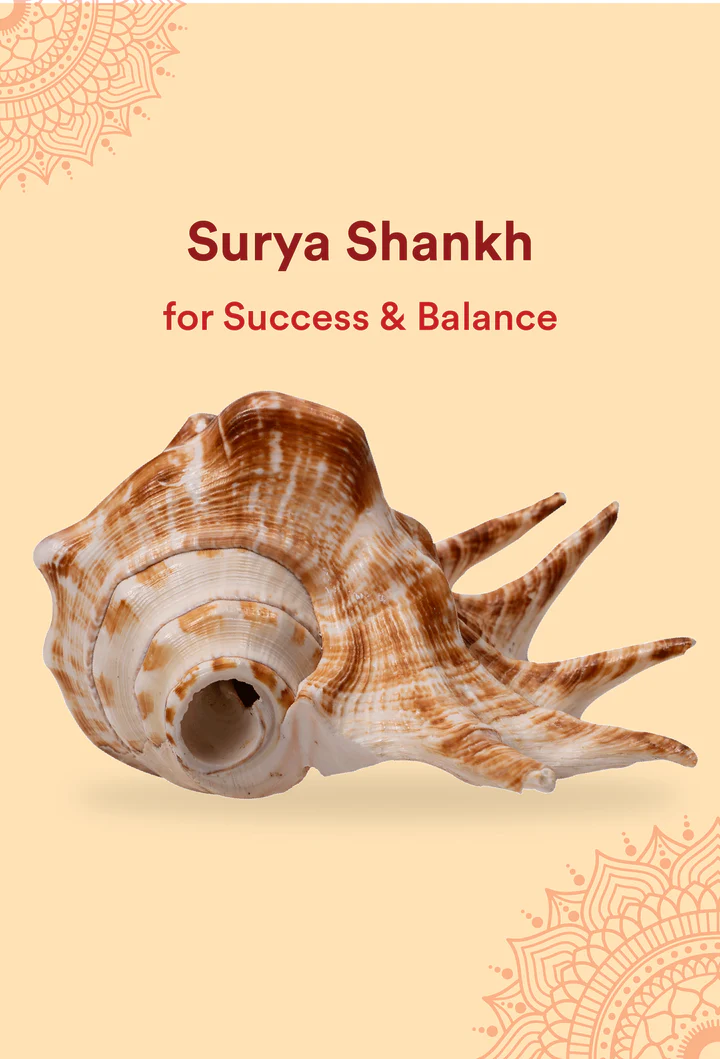 Panchjanya Surya Shankh 1 Pc | Symbol of Bhagwan Surya