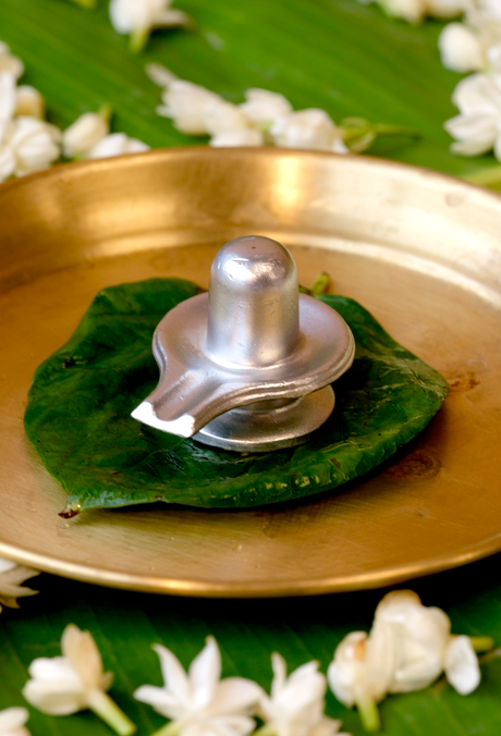 Ashtsanskar Parad Shivling – Ritually Energized with 8 Vedic Rituals for Peace, Protection & Prosperity - Image 3