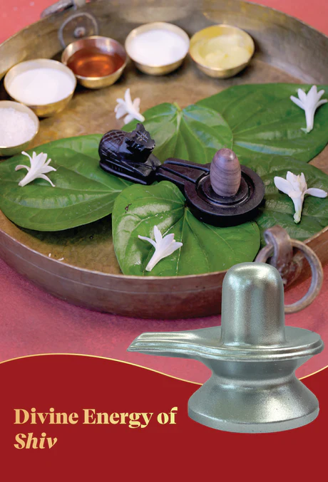 Ashtsanskar Parad Shivling – Ritually Energized with 8 Vedic Rituals for Peace, Protection & Prosperity - Image 4