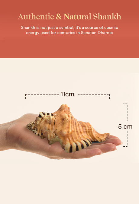 Ganesh Shankh - Image 8