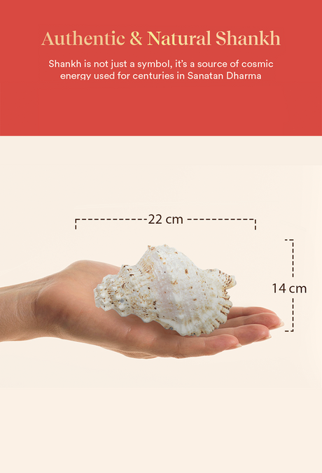 Laxmi Shankh - Image 5