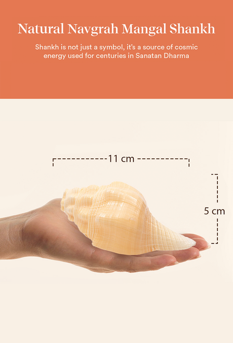 Mangal Shankh 1 Pc | Navagraha Shankh | Helps Invoke Planetary Blessings | Attracts Courage & Confidence - Image 4