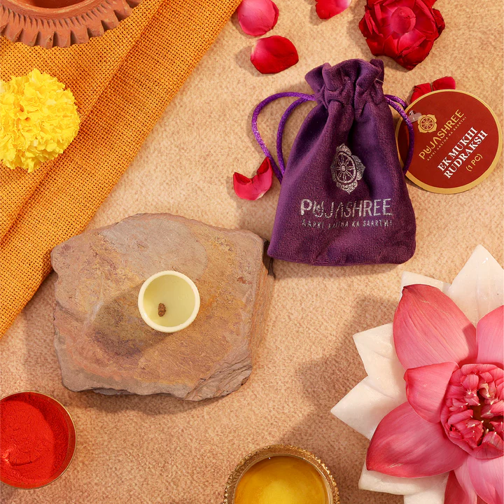 Ekmukhi Rudraksha - Image 6