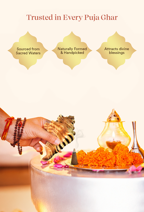 Ganesh Shankh - Image 4