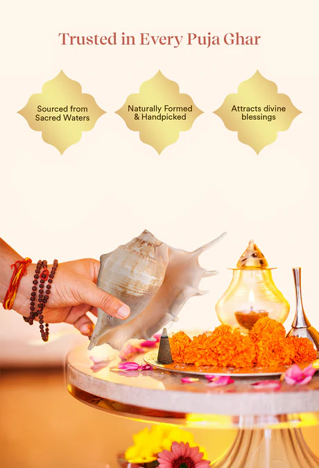 Panchjanya Surya Shankh 1 Pc | Symbol of Bhagwan Surya - Image 4