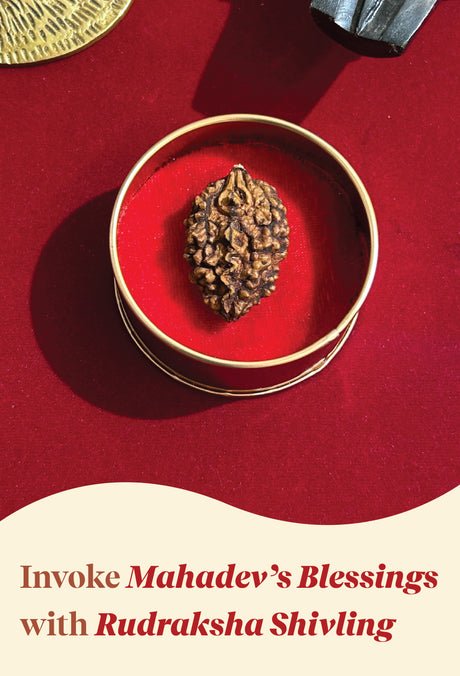 Shivling Rudraksha - Certified 2 Mukhi Rudraksha Shivling for Protection, Peace & Spiritual Growth - Image 5