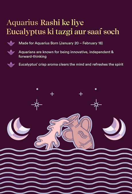 Aquarius Zodiac Dhoop Cones 50 pcs - Eucalyptus - Image 4