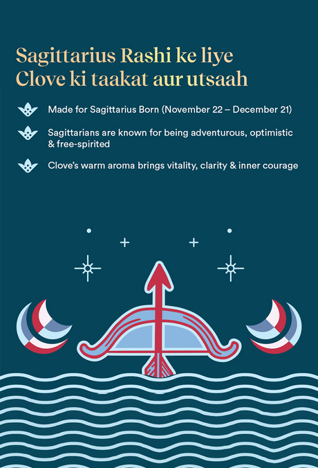 Sagittarius Zodiac Dhoop Cones 50 pcs - Clove - Image 10