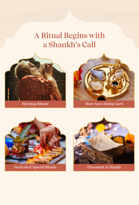 Panchjanya Surya Shankh 1 Pc | Symbol of Bhagwan Surya - Image 5