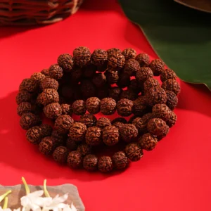 Pujashree Rudraksha Mala 13mm (Large Beads) – For Deep Meditation & Spiritual Power