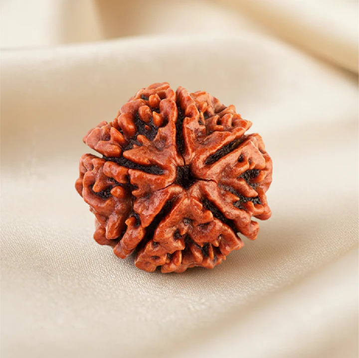Panchmukhi Rudraksha Single Bead