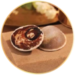 1_4_ee7249aa-b55c-4109-bc94-87985fee198b