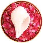 1_5_89cf1d45-c1f3-47ba-9dbe-d7fd7c5be6b1