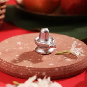 Ashtsanskar Parad Shivling – Ritually Energized with 8 Vedic Rituals for Peace, Protection & Prosperity
