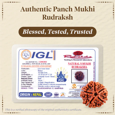 Panchmukhi Rudraksha Single Bead - Image 4