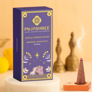 aquarius-zodiac-dhoop-cones-50-pcs-eucalyptus