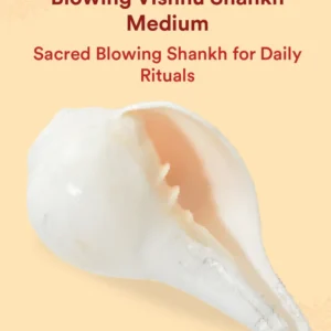 blowing-shankh-medium-1-pc