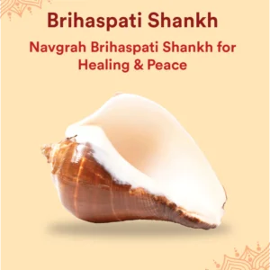 brihaspati-shankh-1-pc-navagraha-shankh-heals-doshas-attracts-prosperity-success