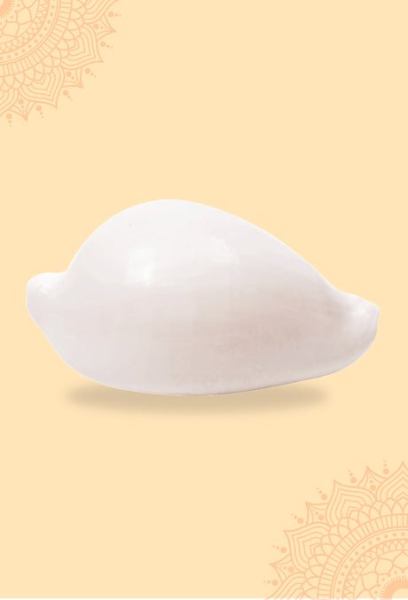 Budh Shankh 1 Pc | Navagraha Shankh | Attracts Prosperity & Success | No Carving - Image 4