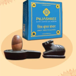 Narmadeshwar Shiv Aradhana Set - Narmadeshwar Shivling & Shiv Shringar Kit Combo