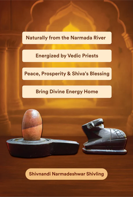 Shivnandi Narmadeshwar Shivling - Image 2