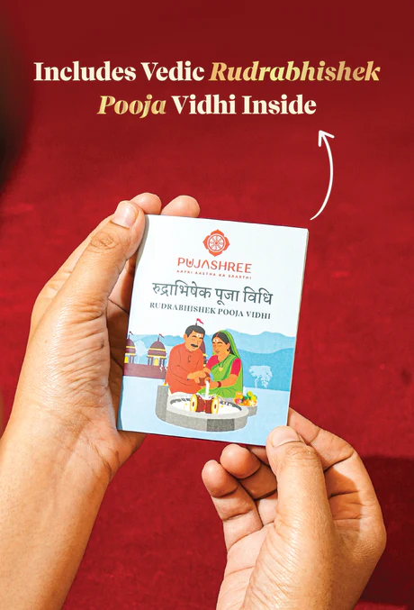 Rudrabhishek Kit - Complete Vedic Set for Shiv Pooja & Abhishek - Image 2