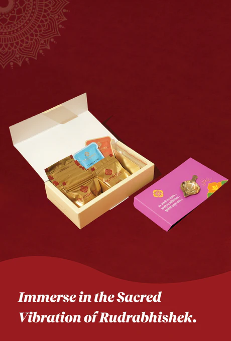 Rudrabhishek Kit - Complete Vedic Set for Shiv Pooja & Abhishek - Image 3