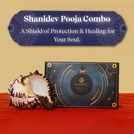 Shanidev Pooja Combo - Image 4