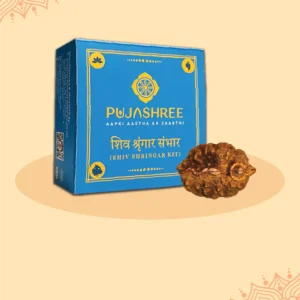 Divya Rudra Combo - Shivling Rudraksha & Shiv Shringar Kit