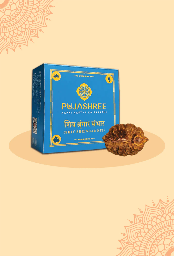 Divya Rudra Combo - Shivling Rudraksha & Shiv Shringar Kit