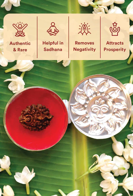 Divya Rudra Combo - Shivling Rudraksha & Shiv Shringar Kit - Image 2