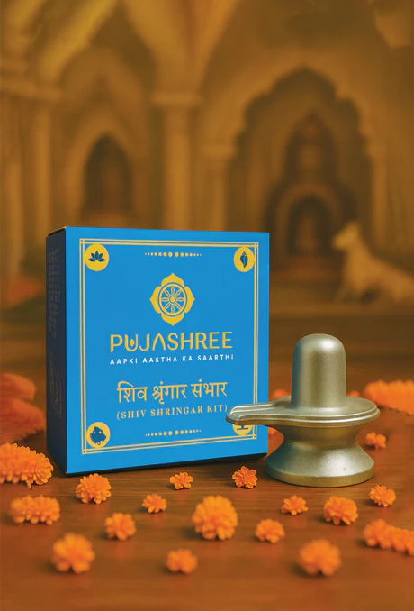 Shiv Upasana Combo - Shiv Shringar Kit & Parad Shivling - Image 2