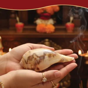 Pujashree Sukh Samriddhi Combo – Invite Prosperity, Peace & Positive Energy